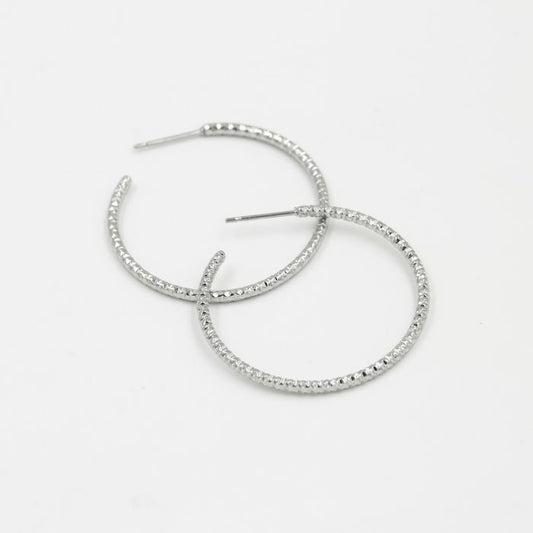 Stainless Steel Hoops