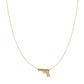 Stainless steel Gun gold