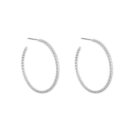 Stainless Steel Hoops